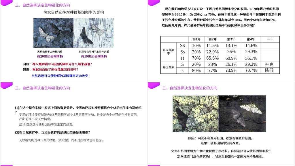 高一下册生物必修二《种群基因频率的改变与生物进化》PPT课件 高一下册生物必修二《种群基因频率的改变与生物进化》PPT课件