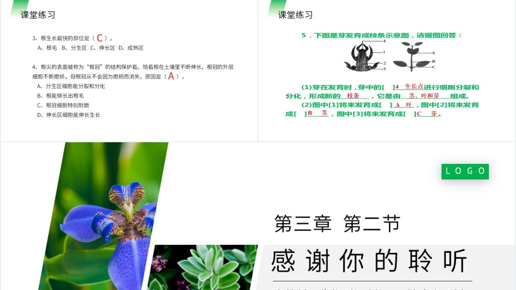 人教版七年级初一生物上册《植株的生长》教学PPT课件 人教版七年级初一生物上册《植株的生长》教学PPT课件