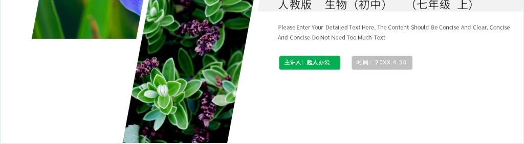人教版七年级初一生物上册《植株的生长》教学PPT课件 人教版七年级初一生物上册《植株的生长》教学PPT课件