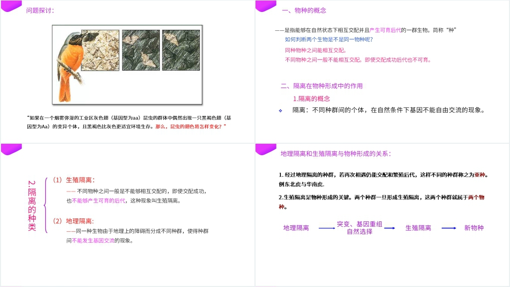 高一下册生物必修二《种群基因频率的改变与生物进化》(第7.2.2课时)PPT课件 高一下册生物必修二《种群基因频率的改变与生物进化》(第7.2.2课时)PPT课件