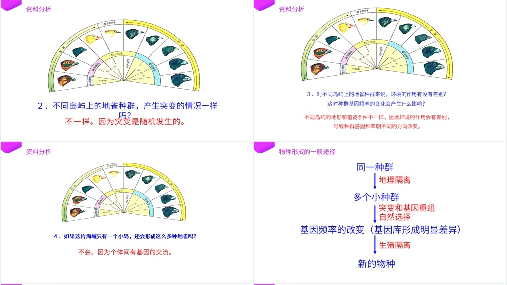 高一下册生物必修二《种群基因频率的改变与生物进化》(第7.2.2课时)PPT课件 高一下册生物必修二《种群基因频率的改变与生物进化》(第7.2.2课时)PPT课件