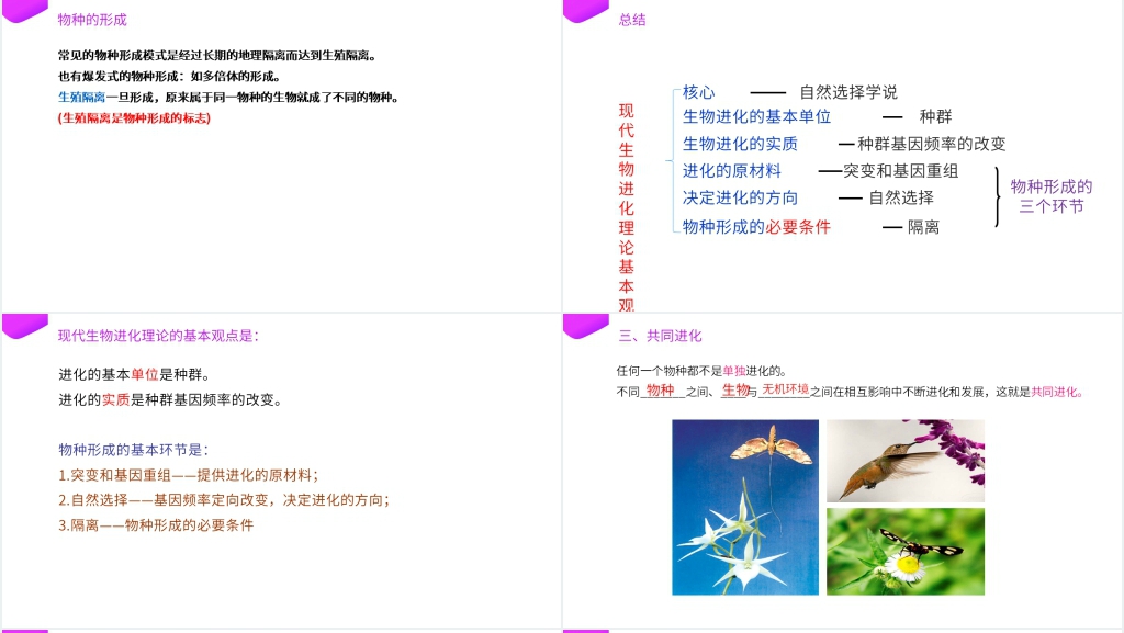 高一下册生物必修二《种群基因频率的改变与生物进化》(第7.2.2课时)PPT课件 高一下册生物必修二《种群基因频率的改变与生物进化》(第7.2.2课时)PPT课件