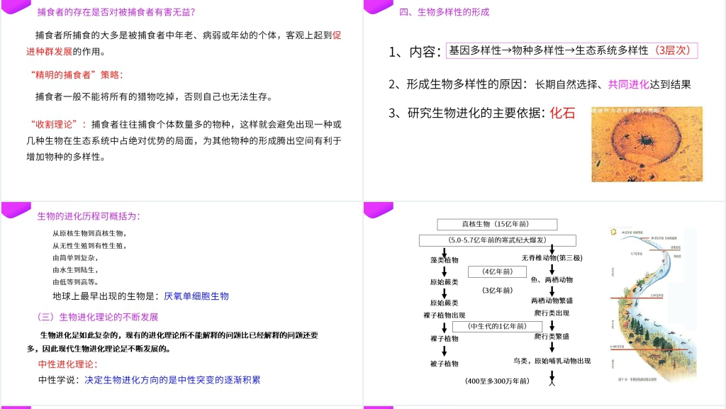 高一下册生物必修二《种群基因频率的改变与生物进化》(第7.2.2课时)PPT课件 高一下册生物必修二《种群基因频率的改变与生物进化》(第7.2.2课时)PPT课件
