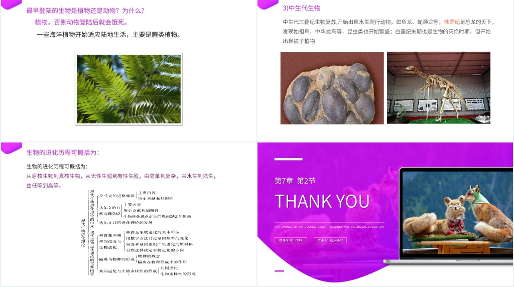 高一下册生物必修二《种群基因频率的改变与生物进化》(第7.2.2课时)PPT课件 高一下册生物必修二《种群基因频率的改变与生物进化》(第7.2.2课时)PPT课件