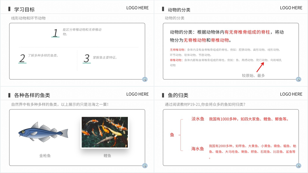 八年级初二上册生物《鱼》PPT课件 八年级初二上册生物《鱼》PPT课件