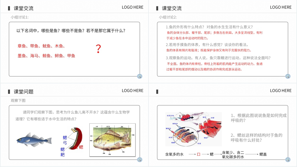 八年级初二上册生物《鱼》PPT课件 八年级初二上册生物《鱼》PPT课件