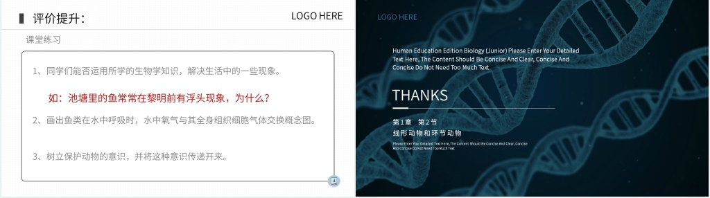 八年级初二上册生物《鱼》PPT课件 八年级初二上册生物《鱼》PPT课件