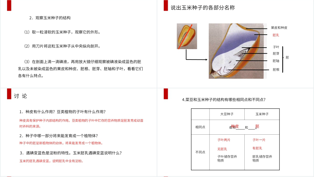 人教版七年级初一生物上册《种子植物》教学教案PPT课件
