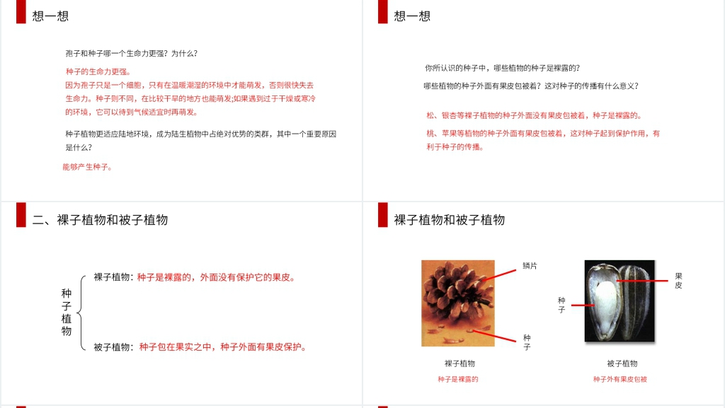 人教版七年级初一生物上册《种子植物》教学教案PPT课件