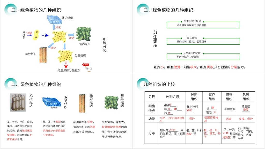 人教版七年级初一生物上册《植物体的结构层次》PPT课件 人教版七年级初一生物上册《植物体的结构层次》PPT课件