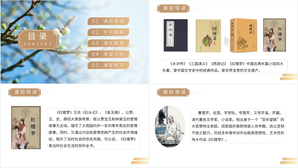 人教版五年级下册语文《红楼春趣》课文教学PPT课件 人教版五年级下册语文《红楼春趣》课文教学PPT课件