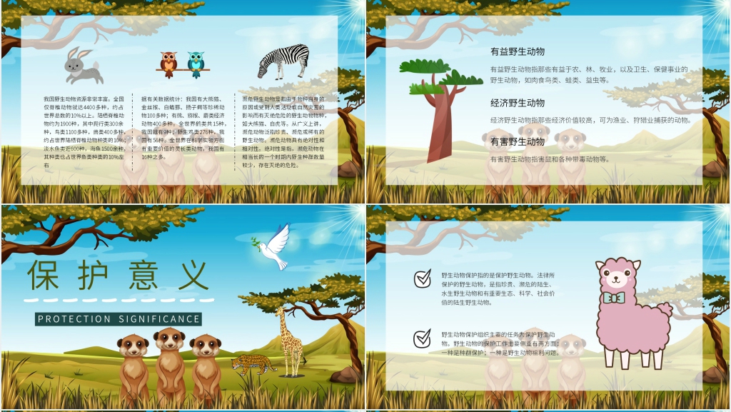 世界珍稀动物保护日主题PPT模板 世界珍稀动物保护日主题PPT模板