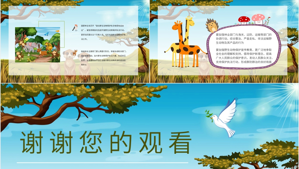 世界珍稀动物保护日主题PPT模板 世界珍稀动物保护日主题PPT模板