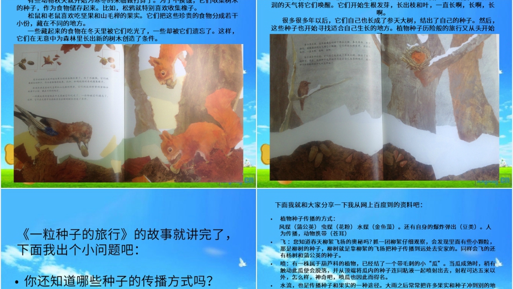 一粒种子的旅行绘本故事PPT课件 一粒种子的旅行绘本故事PPT课件