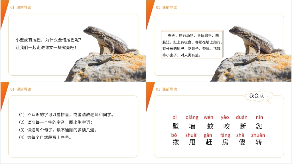 小学一年级语文下册《小壁虎借尾巴》教学PPT课件 小学一年级语文下册《小壁虎借尾巴》教学PPT课件