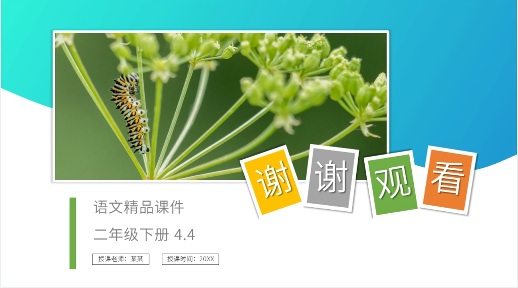 小学二年级语文下册《我是一只小虫子》教案PPT课件 小学二年级语文下册《我是一只小虫子》教案PPT课件