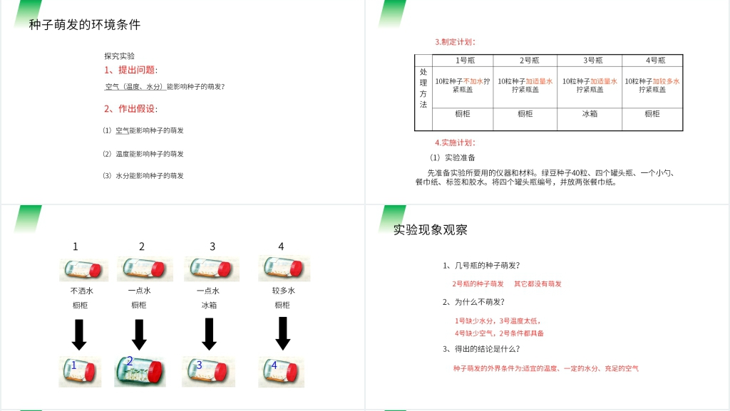 人教版七年级初一生物上册《种子的萌发》PPT课件 人教版七年级初一生物上册《种子的萌发》PPT课件
