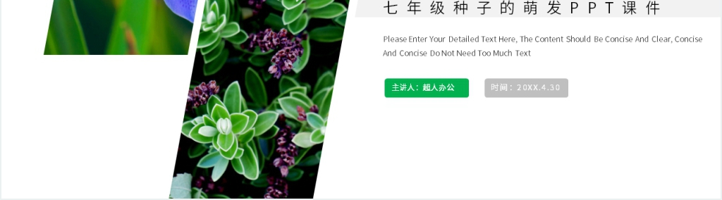 人教版七年级初一生物上册《种子的萌发》PPT课件 人教版七年级初一生物上册《种子的萌发》PPT课件
