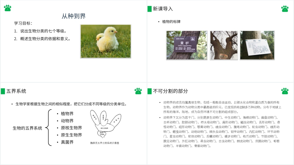 八年级初二上册《从种到界》PPT课件 八年级初二上册《从种到界》PPT课件