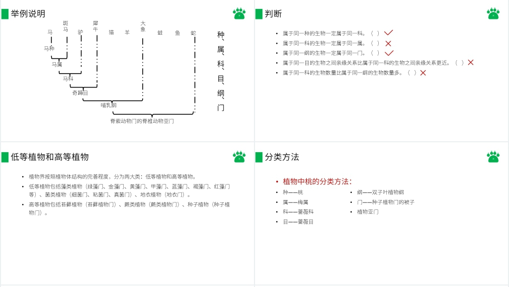 八年级初二上册《从种到界》PPT课件 八年级初二上册《从种到界》PPT课件