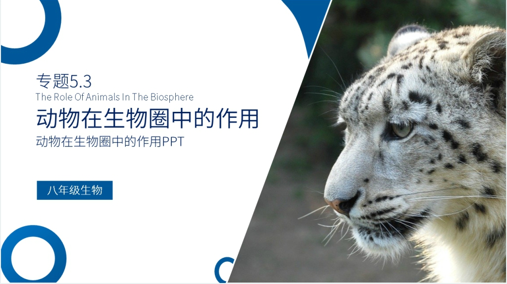 八年级初二上册《动物在生物圈中的作用》PPT课件