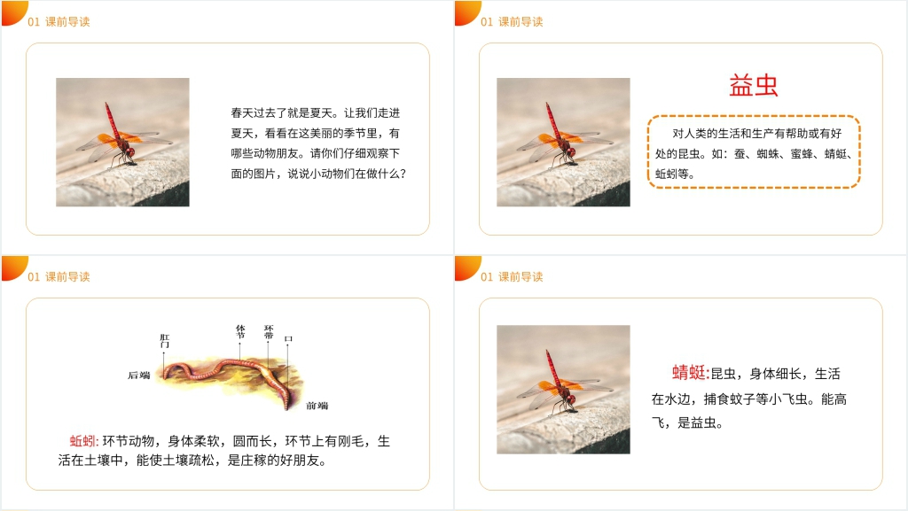 小学语文一年级下册《动物儿歌》PPT课件 小学语文一年级下册《动物儿歌》PPT课件