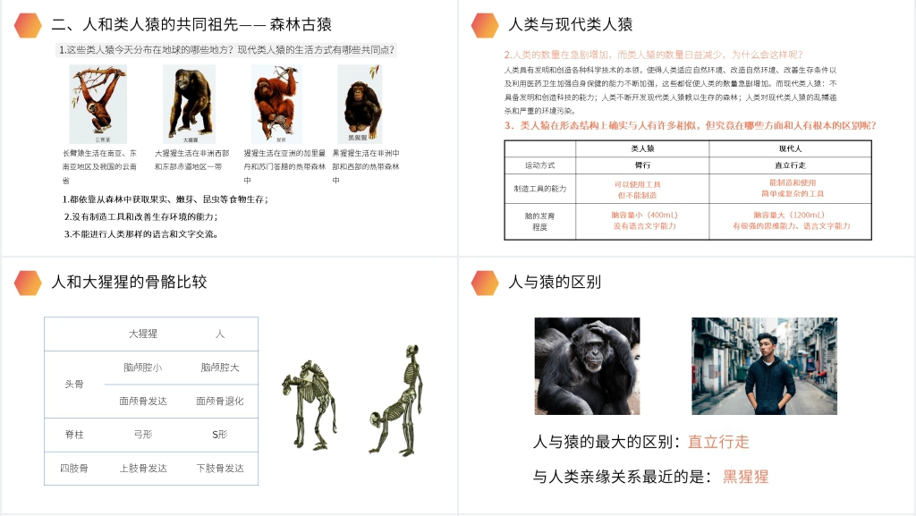 人教版生物七年级初一下册《人类的起源和发展》教案PPT课件 人教版生物七年级初一下册《人类的起源和发展》教案PPT课件