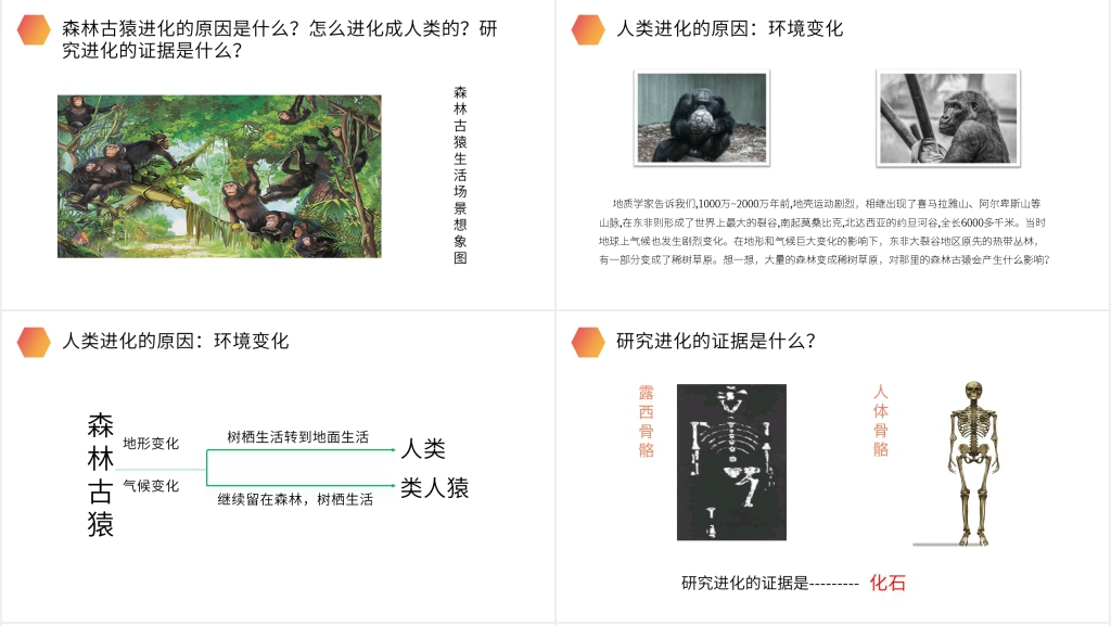 人教版生物七年级初一下册《人类的起源和发展》教案PPT课件 人教版生物七年级初一下册《人类的起源和发展》教案PPT课件