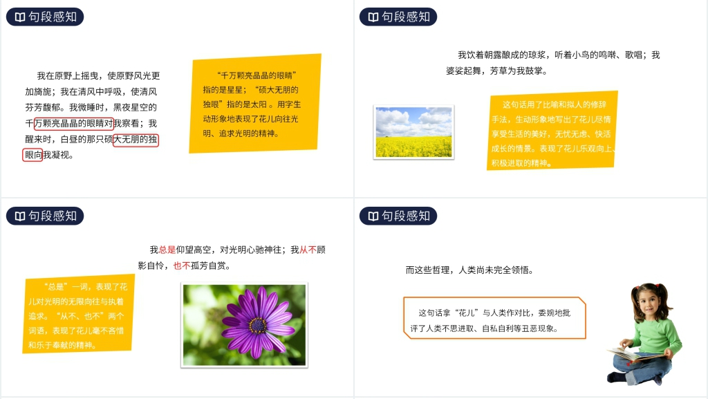 人教版六年级语文上册《花之歌》PPT课件