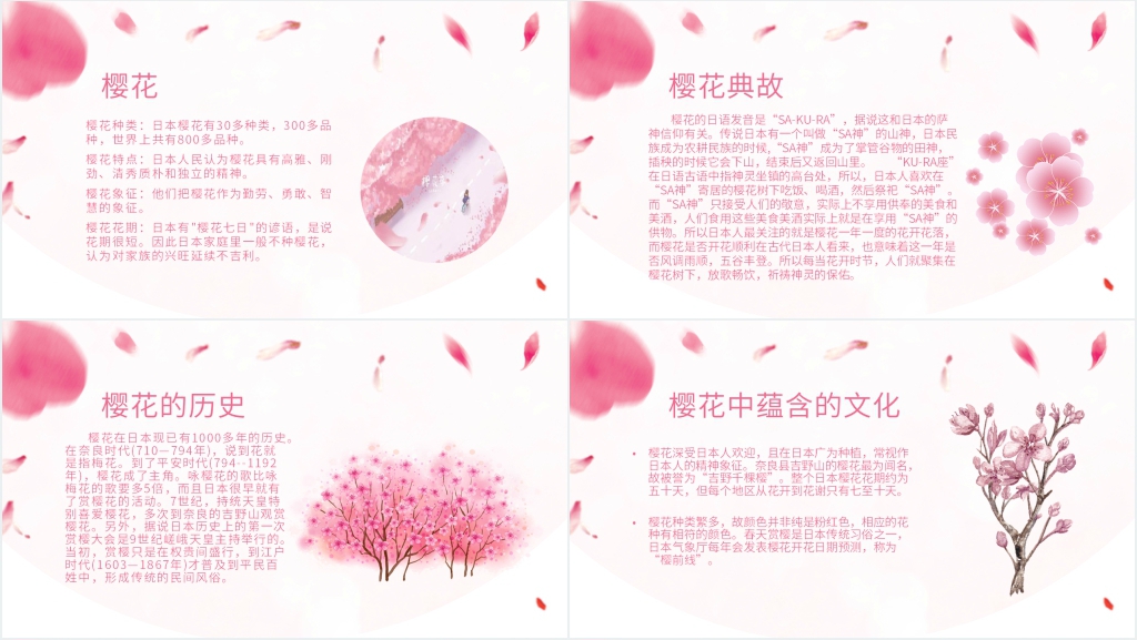 介绍日本樱花节PPT模板 介绍日本樱花节PPT模板