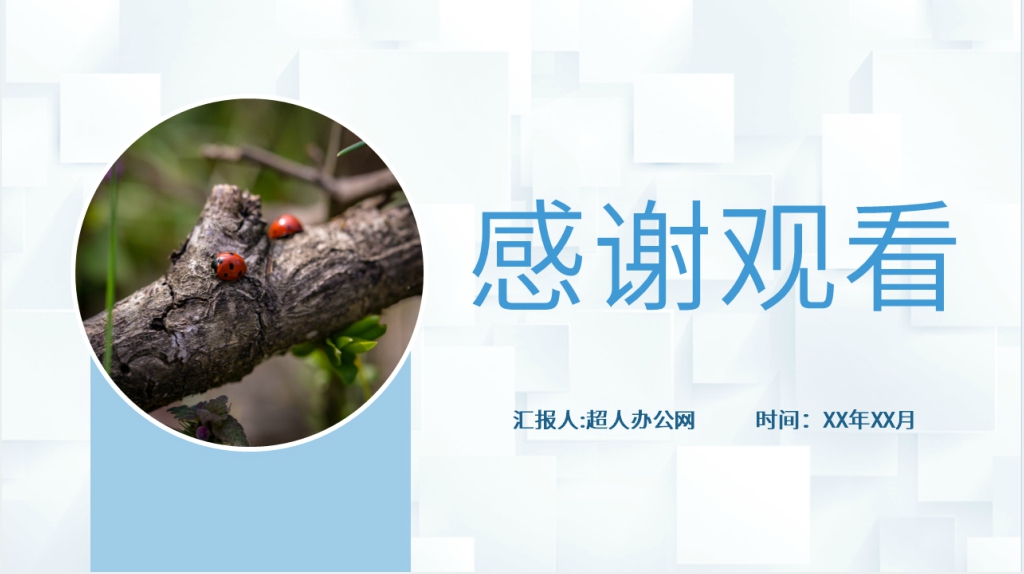 昆虫记阅读分享PPT模板 昆虫记阅读分享PPT模板