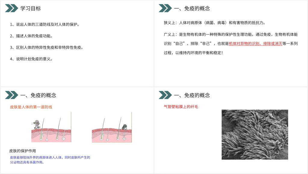 人教版初中生物八年级初二下册免疫与计划免疫PPT课件 人教版初中生物八年级初二下册免疫与计划免疫PPT课件