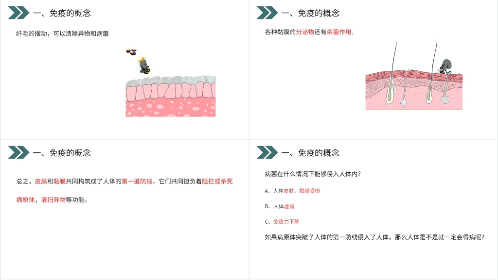 人教版初中生物八年级初二下册免疫与计划免疫PPT课件 人教版初中生物八年级初二下册免疫与计划免疫PPT课件