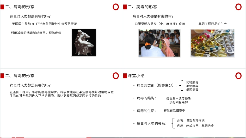 八年级初二上册病毒PPT课件 八年级初二上册病毒PPT课件
