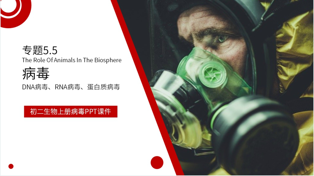 八年级初二上册病毒PPT课件 八年级初二上册病毒PPT课件