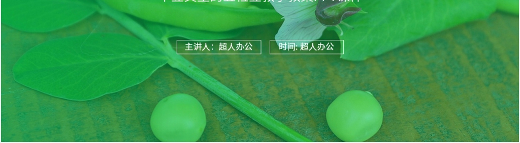 人教版四年级语文上册《一个豆荚里的五粒豆》教学教案PPT课件 人教版四年级语文上册《一个豆荚里的五粒豆》教学教案PPT课件