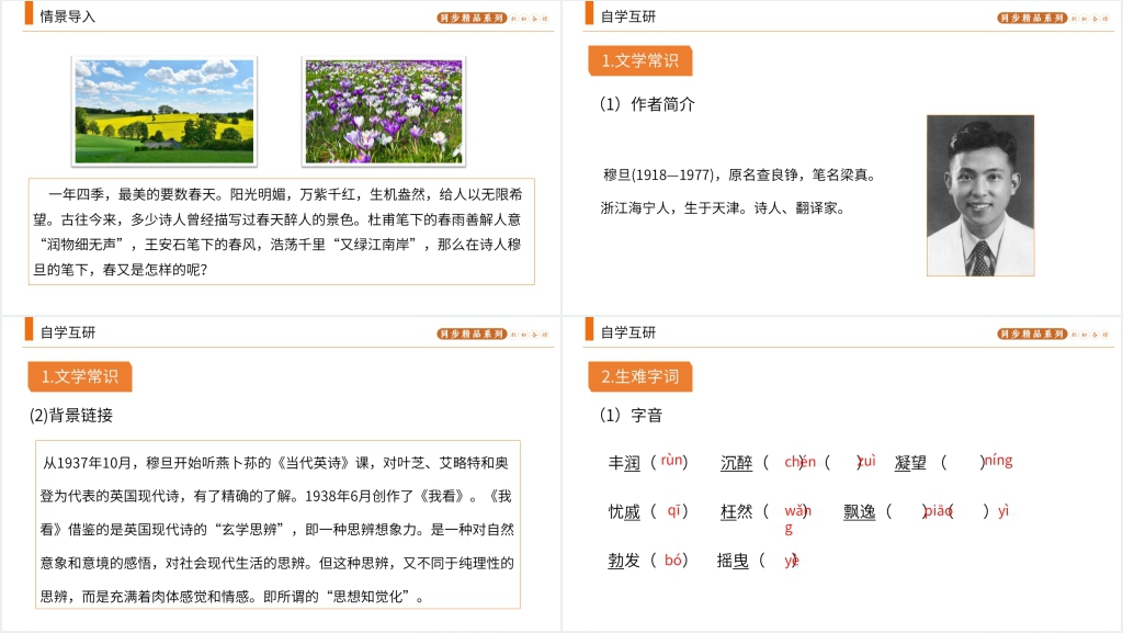 人教版九年级语文上册《我看》PPT课件 人教版九年级语文上册《我看》PPT课件
