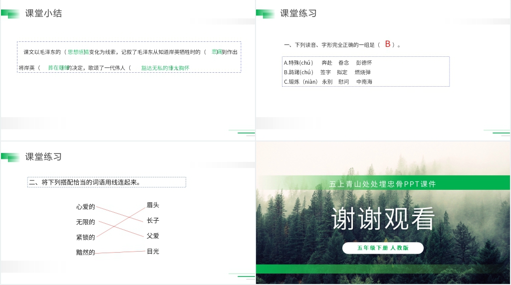 人教版五年级语文下册《青山处处埋忠骨》PPT课件