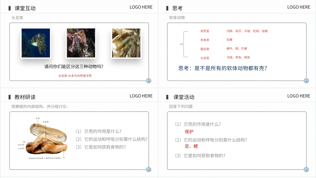 八年级初二上册《软体动物和节肢动物》PPT课件