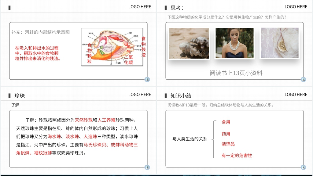 八年级初二上册《软体动物和节肢动物》PPT课件