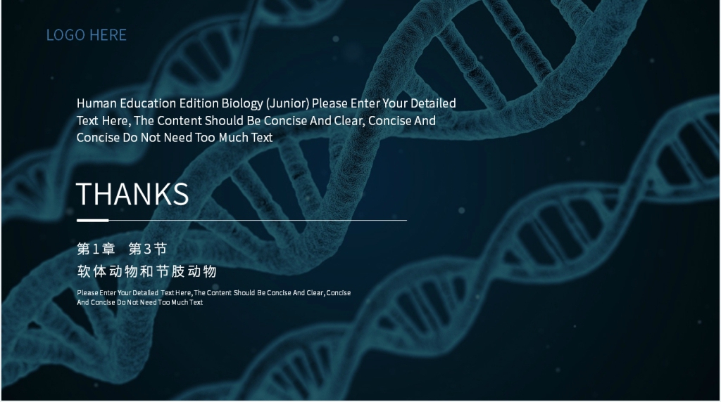 八年级初二上册《软体动物和节肢动物》PPT课件