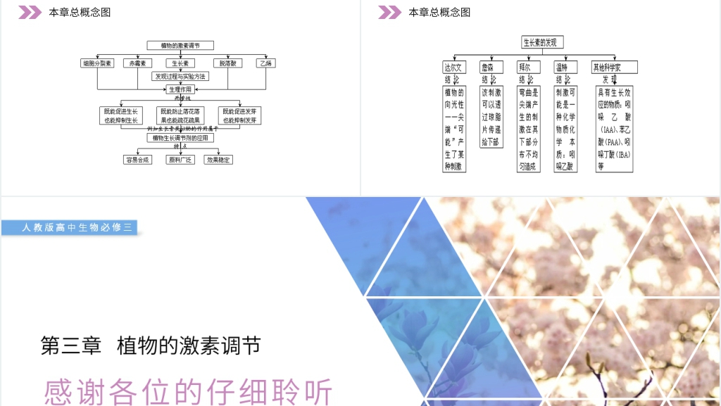 人教版高二生物必修三《植物生长激素的发现》PPT课件