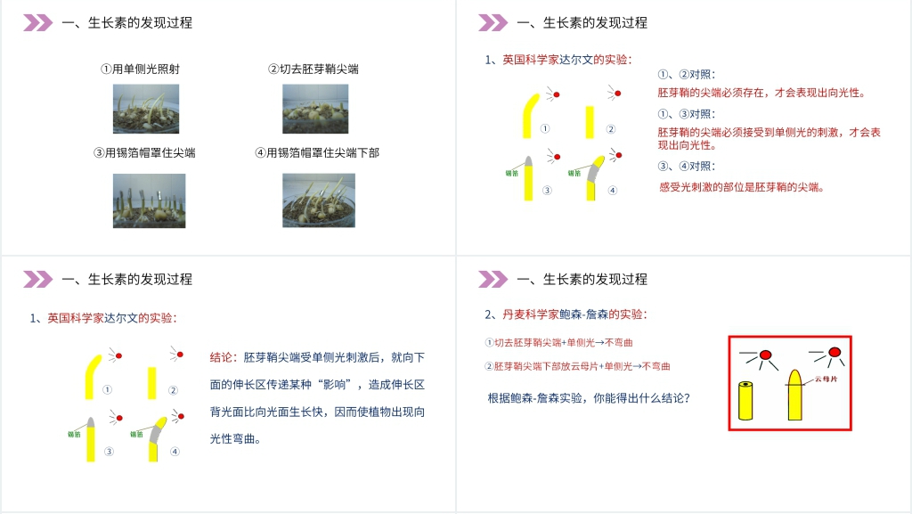 人教版高二生物必修三《植物生长激素的发现》PPT课件