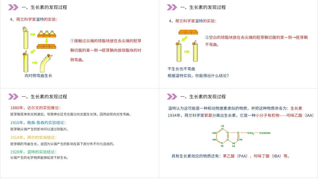 人教版高二生物必修三《植物生长激素的发现》PPT课件