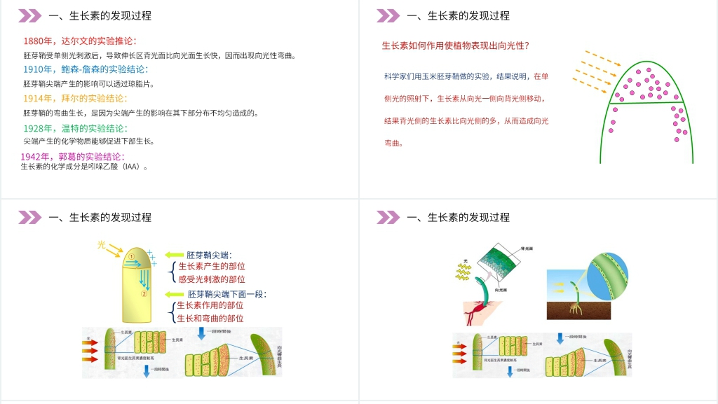 人教版高二生物必修三《植物生长激素的发现》PPT课件