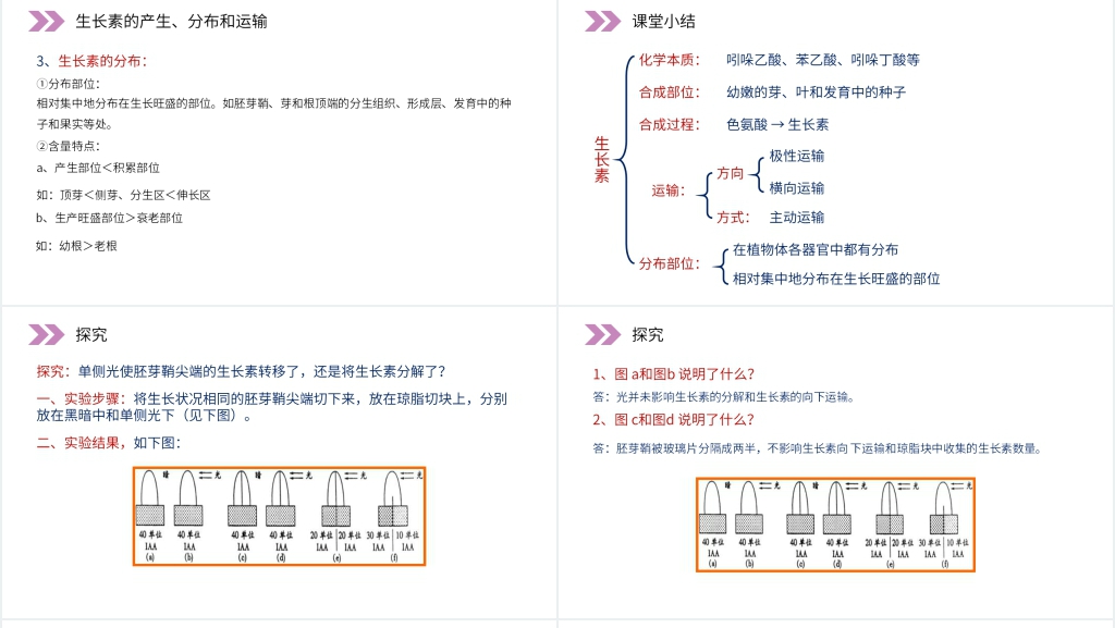 人教版高二生物必修三《植物生长激素的发现》PPT课件