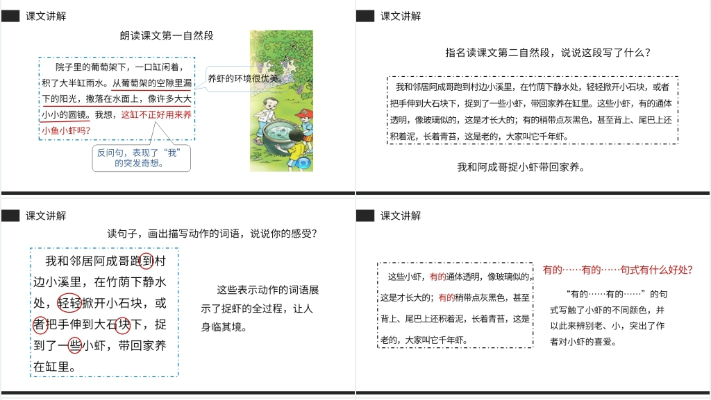三年级下册《小虾》课文教案PPT课件 三年级下册《小虾》课文教案PPT课件