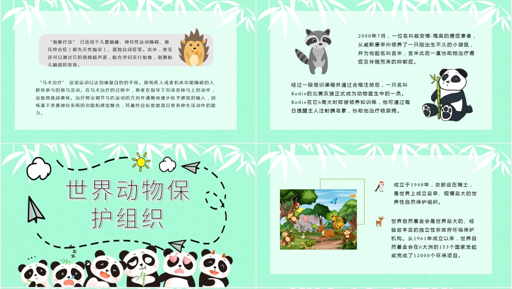 小学生爱护野生动物PPT课件 小学生爱护野生动物PPT课件