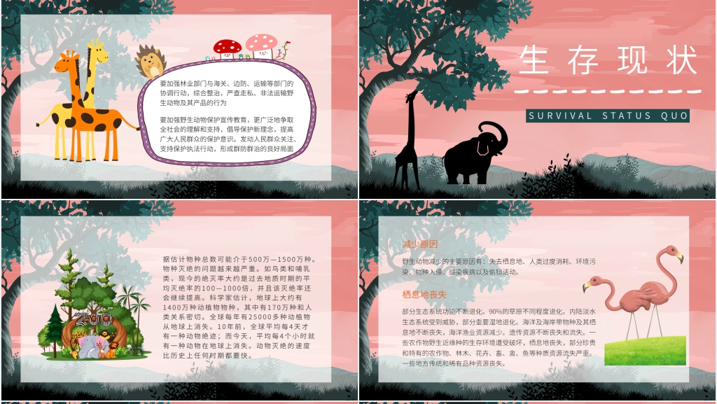宣传保护野生动物的活动PPT模板 宣传保护野生动物的活动PPT模板