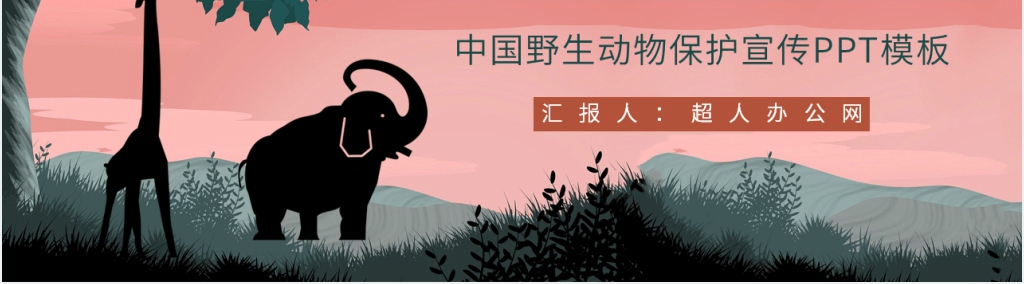 宣传保护野生动物的活动PPT模板 宣传保护野生动物的活动PPT模板